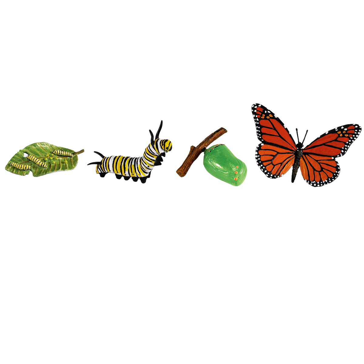 Safari Ltd® Life Cycle of a Monarch Butterfly